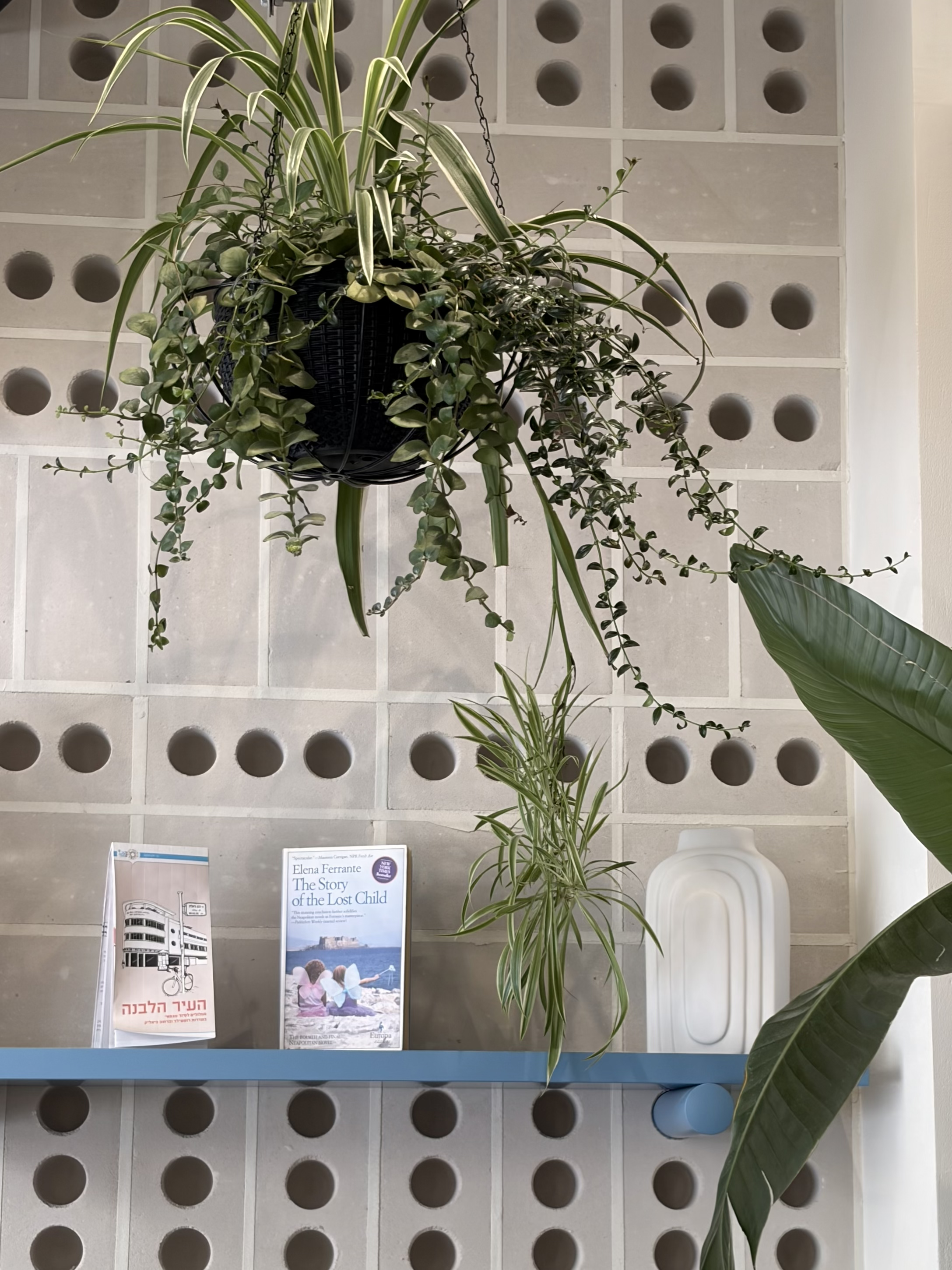 Минута отдыха Личный опыт: 4 месяца с iPhone 17 — лучшим и скучнейшим айфоном 2026 года Полезности 