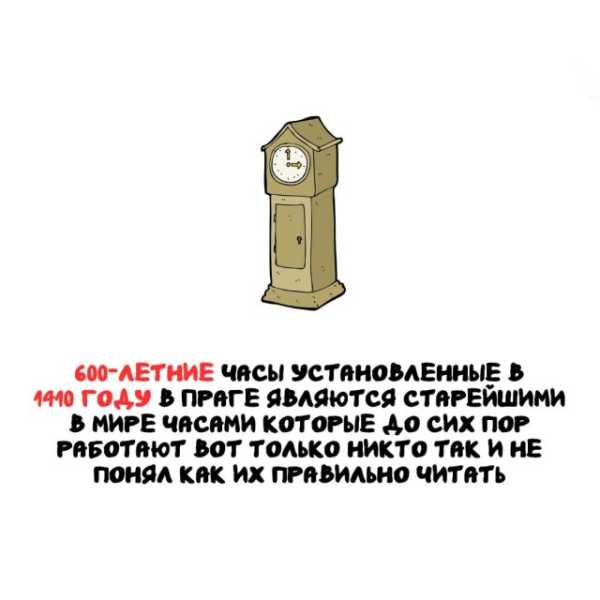 Минута отдыха Интересные короткие факты на все случаи жизни Интересное 