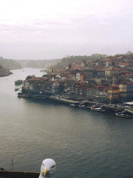 Минута отдыха Нелепые и очаровательные зверюшки, которых невозможно не любить Животные 