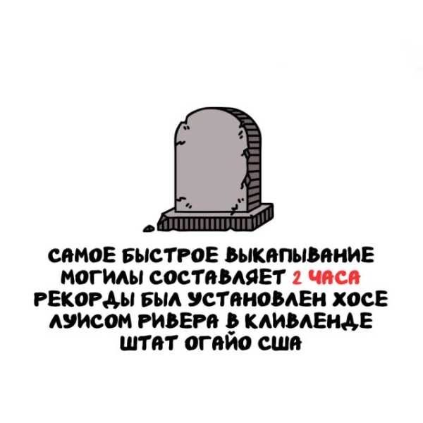 Минута отдыха Интересные короткие факты на все случаи жизни Интересное 