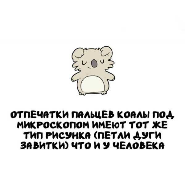 Минута отдыха Интересные короткие факты на все случаи жизни Интересное 