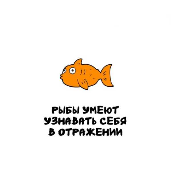 Минута отдыха Интересные короткие факты на все случаи жизни Интересное 