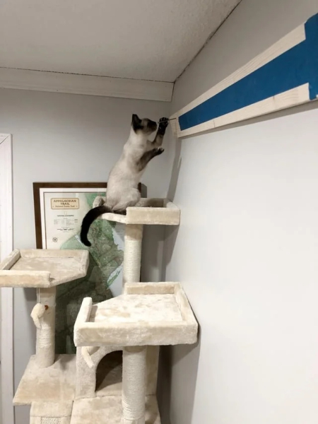 Минута отдыха Нелепые и очаровательные зверюшки, которых невозможно не любить Животные 