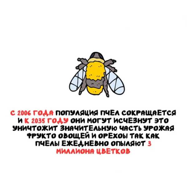 Минута отдыха Интересные короткие факты на все случаи жизни Интересное 