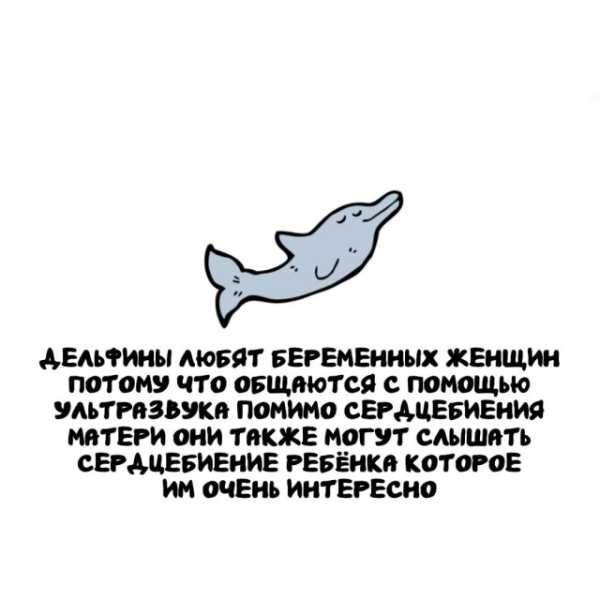 Минута отдыха Интересные короткие факты на все случаи жизни Интересное 