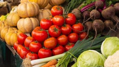 Минута отдыха Базовый набор продуктов бьет рекорды по цене в Хабаровском крае Общество 