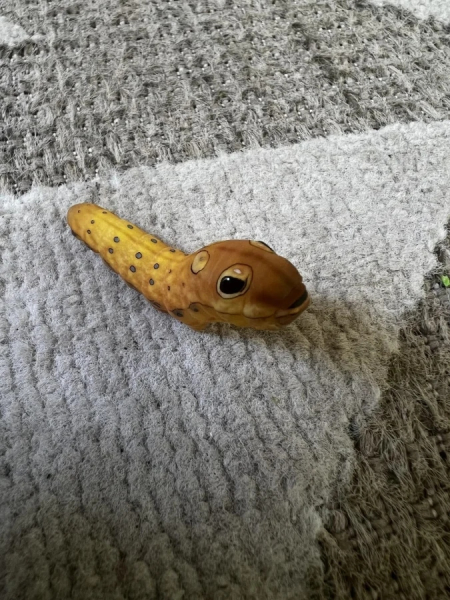 Минута отдыха Красота и уникальность безобидных насекомых, которые только выглядят страшно Животные 