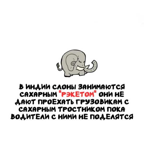 Минута отдыха Интересные короткие факты на все случаи жизни Интересное 