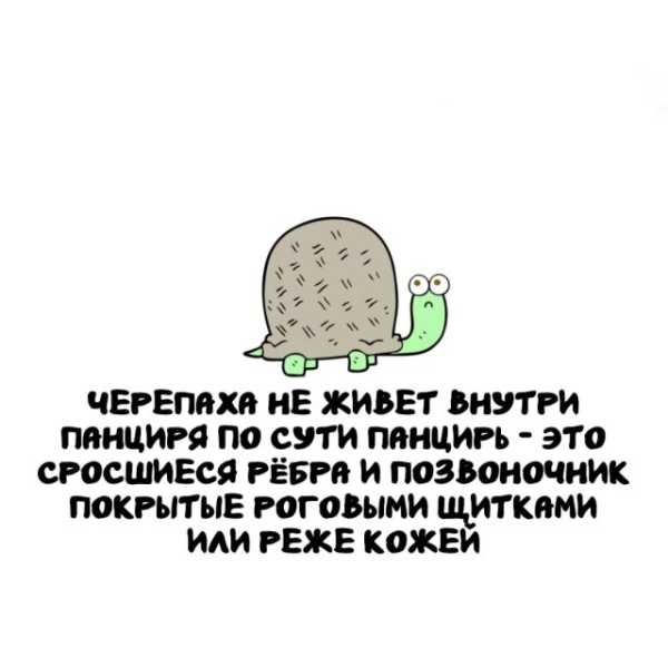 Минута отдыха Интересные короткие факты на все случаи жизни Интересное 