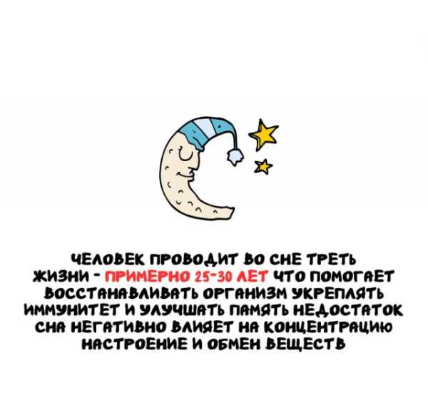 Минута отдыха Интересные короткие факты на все случаи жизни Интересное 