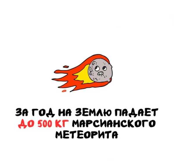 Минута отдыха Интересные короткие факты на все случаи жизни Интересное 