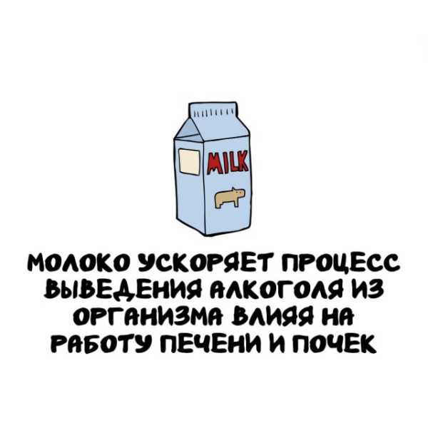 Минута отдыха Интересные короткие факты на все случаи жизни Интересное 