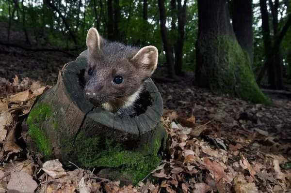 Минута отдыха Удивительные особенности разных мест и географические аномалии Интересное 