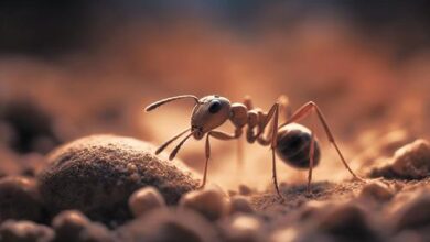 Минута отдыха Двойной удар по насекомым в доме Сад огород 