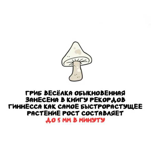 Минута отдыха Интересные короткие факты на все случаи жизни Интересное 