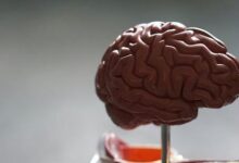 Минута отдыха Хронический стресс подрывает здоровье Полезности эмоции стресс здоровье 