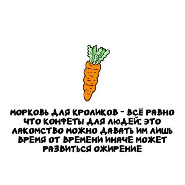 Минута отдыха Интересные короткие факты на все случаи жизни Интересное 