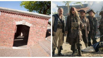 Минута отдыха Дом Гидди: «пьяный» уникум Карибского моря Интересное 