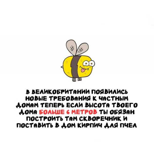 Минута отдыха Интересные короткие факты на все случаи жизни Интересное 