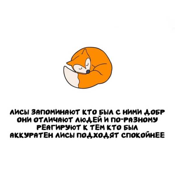 Минута отдыха Интересные короткие факты на все случаи жизни Интересное 