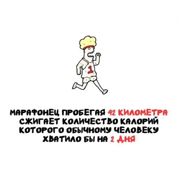 Минута отдыха Интересные короткие факты на все случаи жизни Интересное 