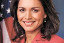 Минута отдыха Доклад Тулси Габбард: о чём предупреждает директор Национальной разведки США? Шпионаж 