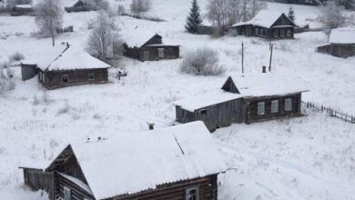 Минута отдыха Туристам — рай, местным — полоса препятствий: как живётся в селе без магазина и дорог Туризм 