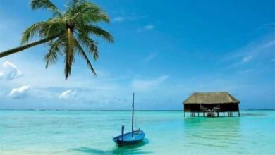 Минута отдыха Удивительные особенности разных мест и географические аномалии Интересное 