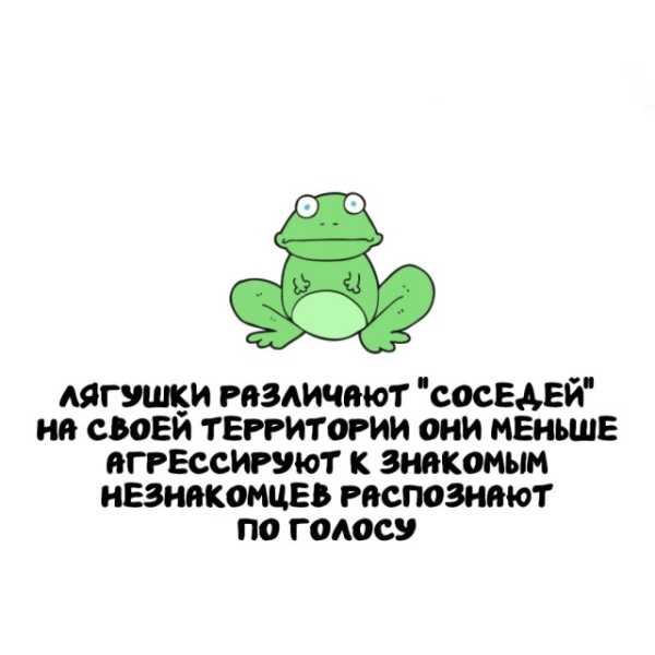 Минута отдыха Интересные короткие факты на все случаи жизни Интересное 