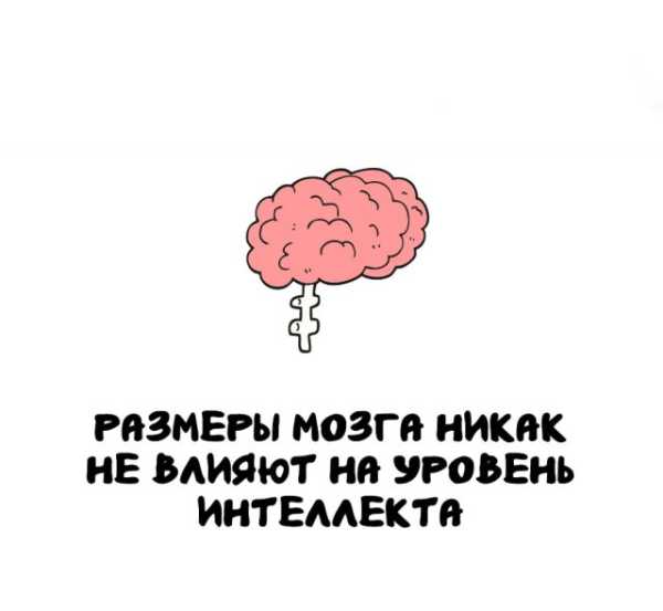 Минута отдыха Интересные короткие факты на все случаи жизни Интересное 