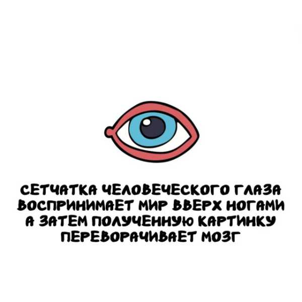 Минута отдыха Интересные короткие факты на все случаи жизни Интересное 