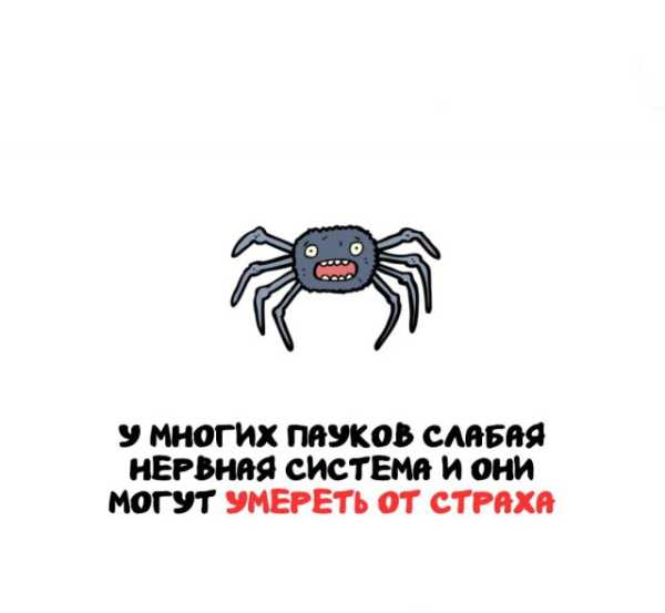 Минута отдыха Интересные короткие факты на все случаи жизни Интересное 