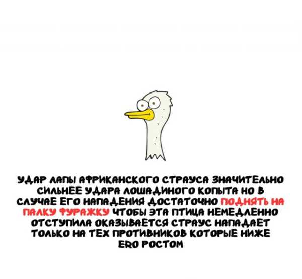 Минута отдыха Интересные короткие факты на все случаи жизни Интересное 