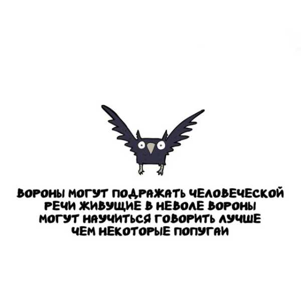 Минута отдыха Интересные короткие факты на все случаи жизни Интересное 