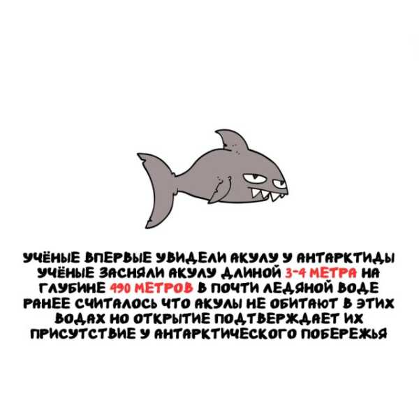 Минута отдыха Интересные короткие факты на все случаи жизни Интересное 