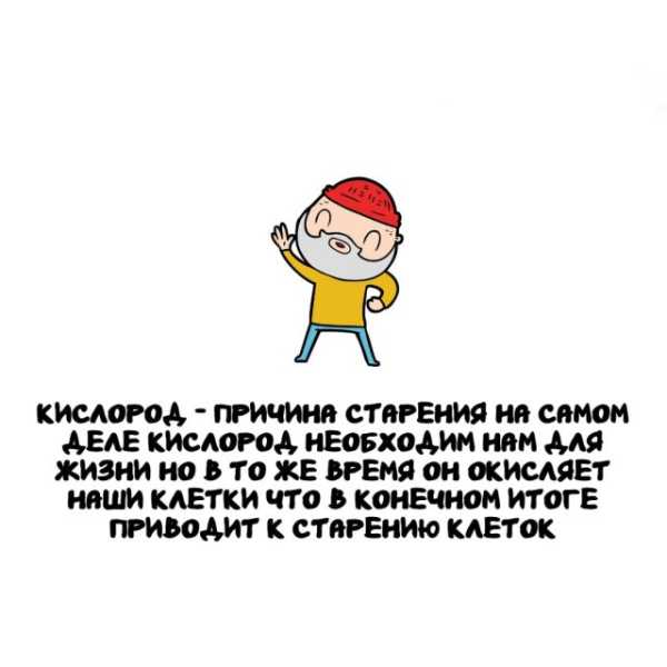 Минута отдыха Интересные короткие факты на все случаи жизни Интересное 