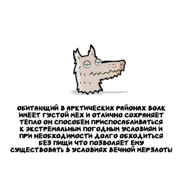 Минута отдыха Интересные короткие факты на все случаи жизни Интересное 