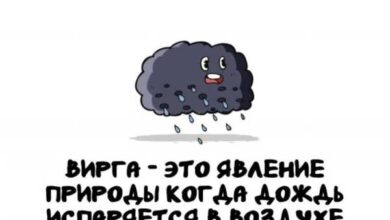 Минута отдыха Интересные короткие факты на все случаи жизни Интересное 