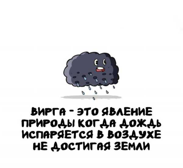 Минута отдыха Интересные короткие факты на все случаи жизни Интересное 