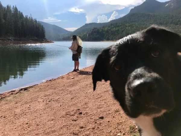 Минута отдыха Смешные «фотобомбы», где питомцы случайно украли весь кадр Животные 