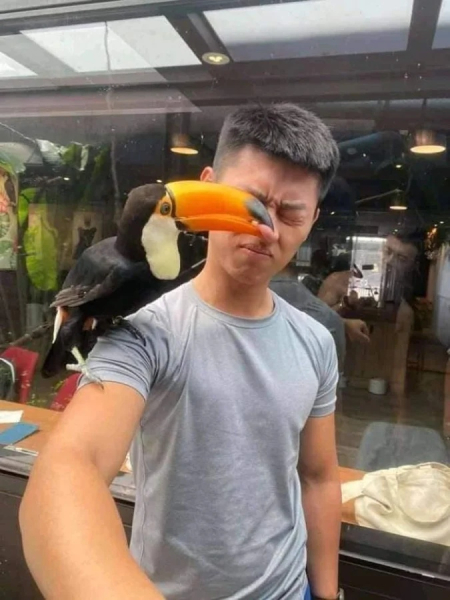 Минута отдыха Невозмутимая дерзость домашних животных, показывающих, кто главный Животные 