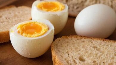 Минута отдыха Яйца и хлеб возглавили рост цен в Ростовской области в марте Общество 