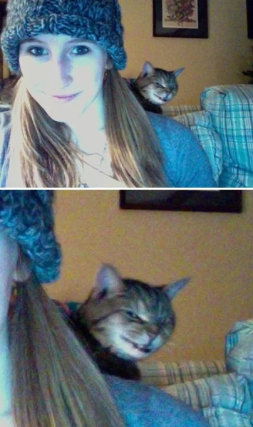 Минута отдыха Смешные «фотобомбы», где питомцы случайно украли весь кадр Животные 