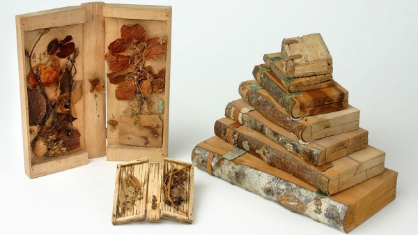 Минута отдыха Ксилотека - уникальное собрание деревянных книг Интересное Минута отдыха Ксилотека - уникальное собрание деревянных книг Интересное