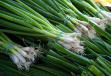 Минута отдыха Нутрициолог указала, сколько зелени нужно употреблять в каждый прием пищи Полезности пища нутрициолог норма зелень витамин C 