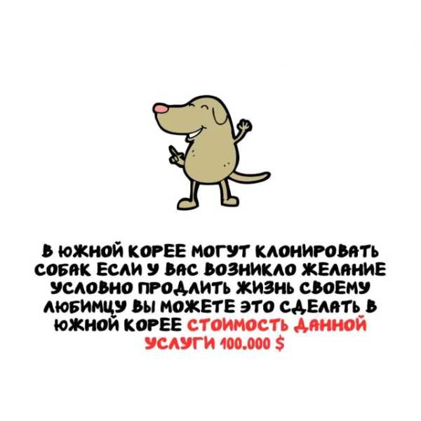 Минута отдыха Интересные короткие факты на все случаи жизни Интересное 