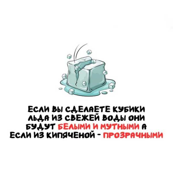 Минута отдыха Интересные короткие факты на все случаи жизни Интересное 