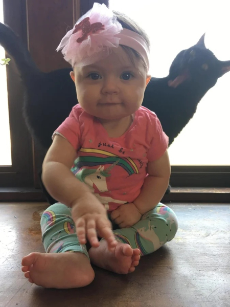 Минута отдыха Смешные «фотобомбы», где питомцы случайно украли весь кадр Животные 