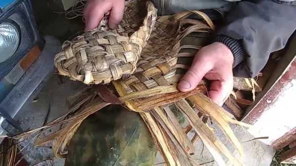 Минута отдыха Неожиданные факты, которые могут изменить ваше восприятие привычного Интересное 