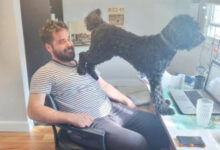 Минута отдыха Невозмутимая дерзость домашних животных, показывающих, кто главный Животные 